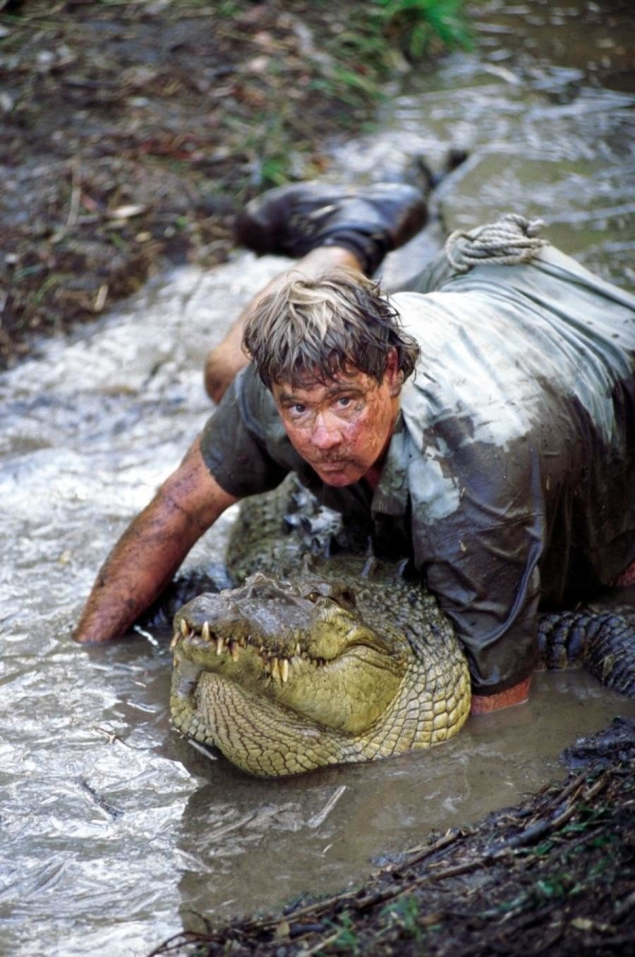 is steve irwin death footage available