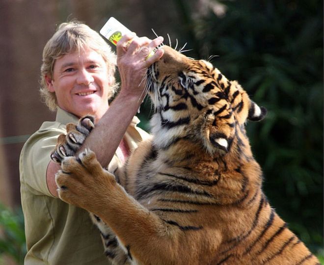 Steve Irwin Death