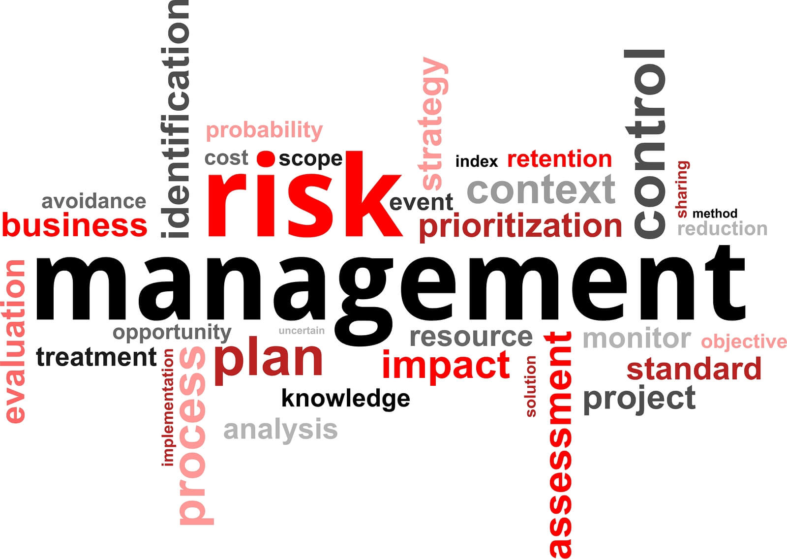 What is Risk Management in Forex Trading? | Born Realist